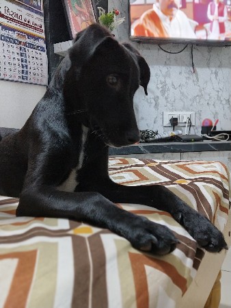 થંબનેલ 3