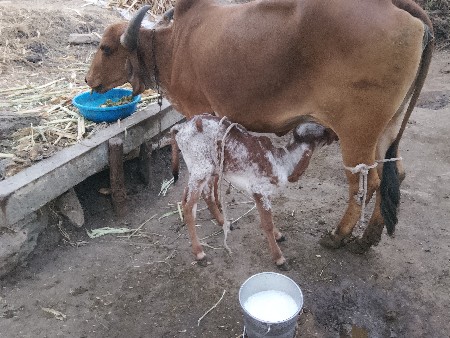 थंबनेल 2