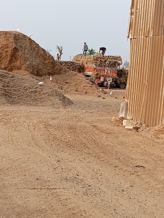 थंबनेल 3