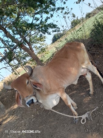 थंबनेल 2