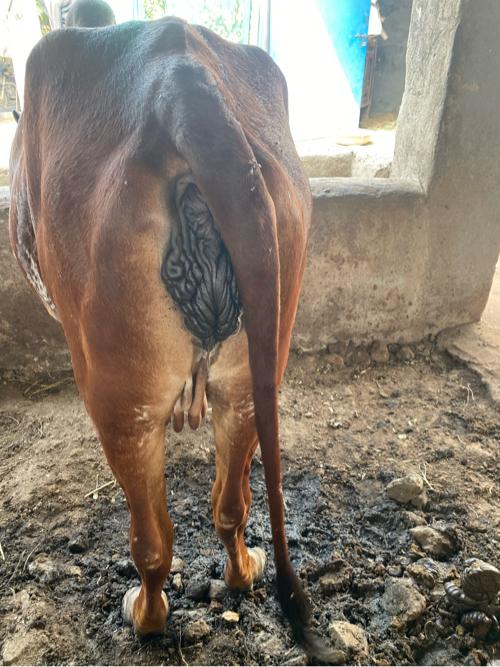 थंबनेल 2