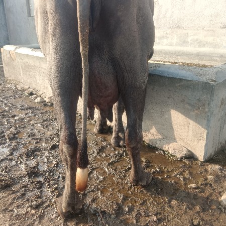 थंबनेल 2