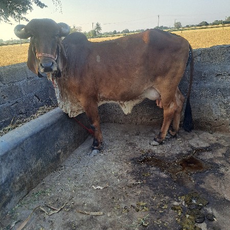 थंबनेल 2