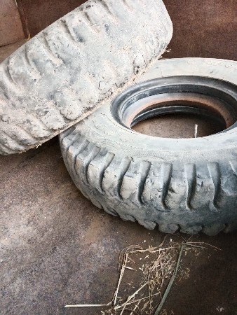 थंबनेल 2