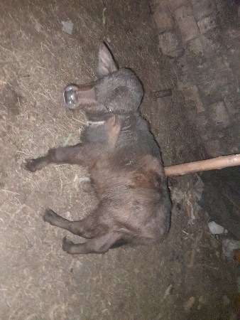 થંબનેલ 3