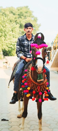 थंबनेल 3