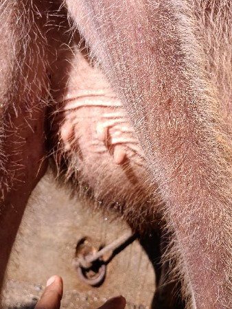 थंबनेल 2