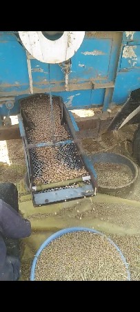 ગીતા threshar