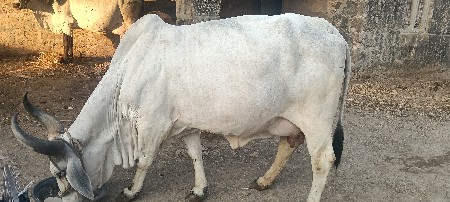 थंबनेल 2