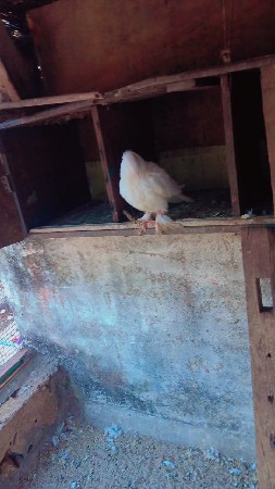 થંબનેલ 2