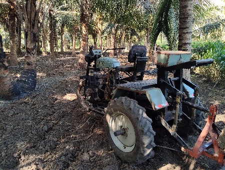 સનેડો વેચવાનો છે