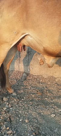 થંબનેલ 4