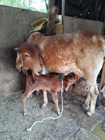 थंबनेल 2