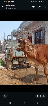 9316730420 નંબર મા ફોન કરજો