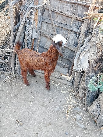 थंबनेल 3