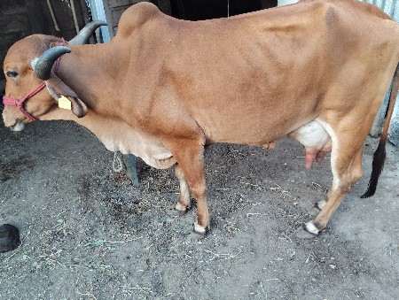 બીજું વેધર