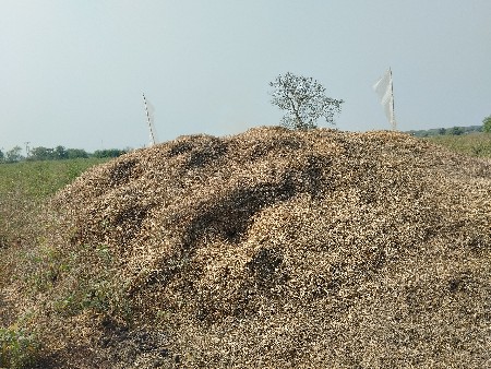 વીસ વિઘાનો મગફળીનો પાલો વેચવાનો છે.