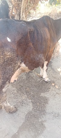 थंबनेल 3