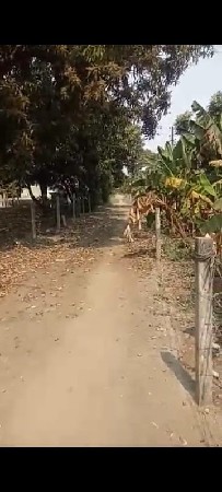 ગામ ટુકડા તા. જી. પોરબંદર