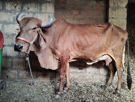 थंबनेल 3