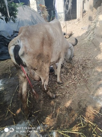 थंबनेल 3