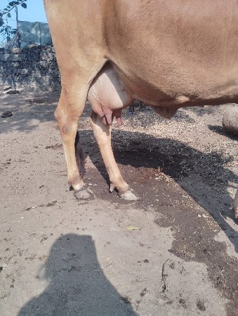 थंबनेल 2