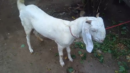 थंबनेल 2