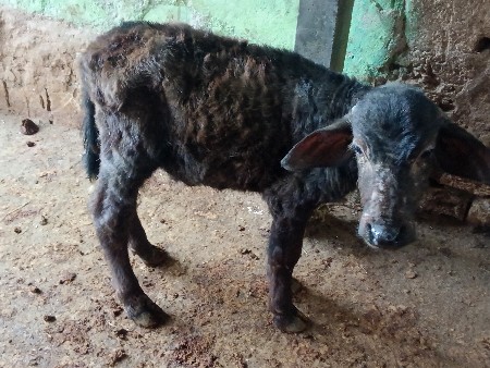 थंबनेल 2