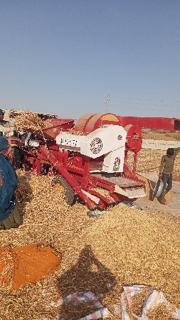 મારુતિ ની ફુકણી વેચવાની છે