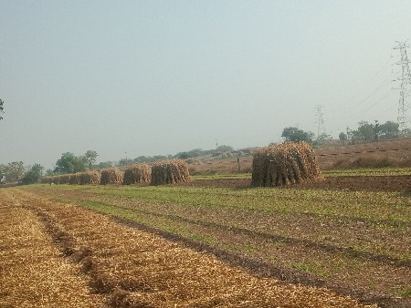 નીરણ વેચવાની છે