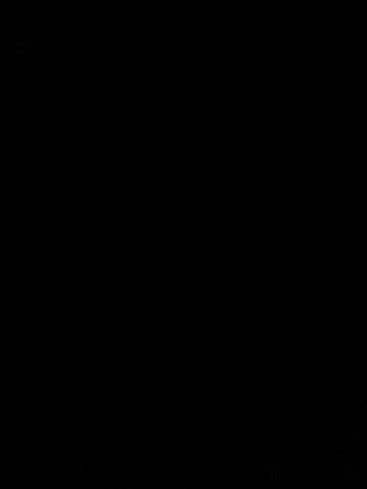 17 વિઘા વેચવા ની છે