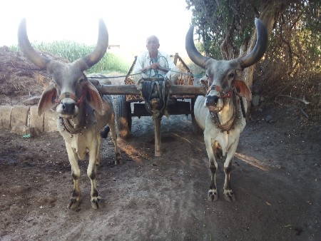 थंबनेल 2