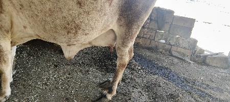 थंबनेल 3