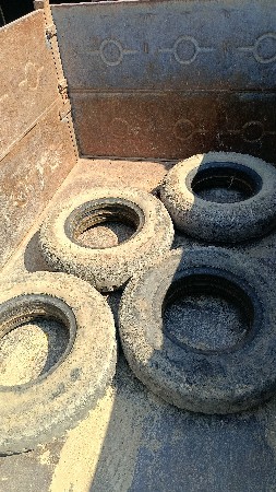 થંબનેલ 3