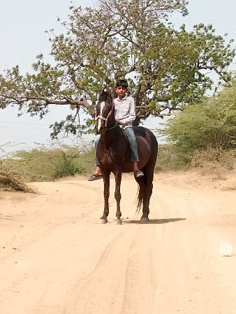 થંબનેલ 2