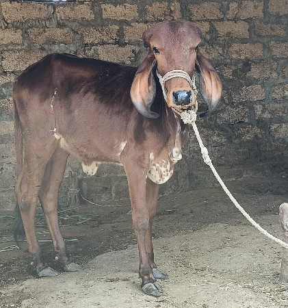 थंबनेल 2