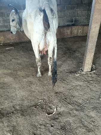 थंबनेल 3