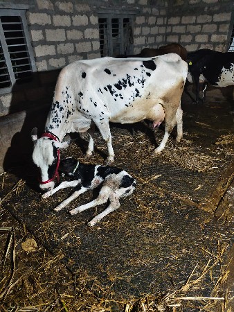 थंबनेल 3