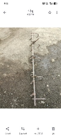 મીંદડા વેચવાના છે