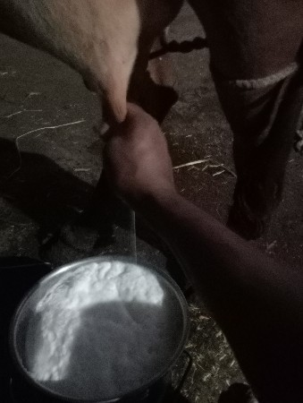 थंबनेल 2