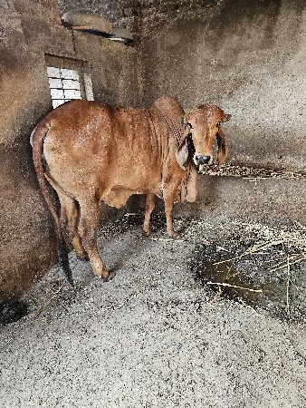 थंबनेल 2