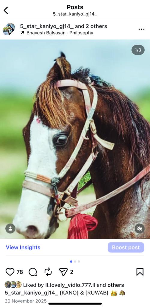 ધોડો વેચવા નો તાત કાલી