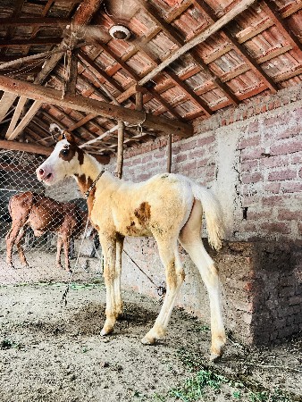 थंबनेल 2