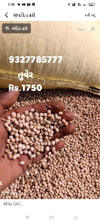 તુવેર વેચવાની છે