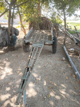 થંબનેલ 2