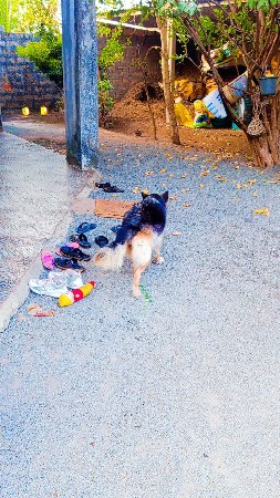 થંબનેલ 3