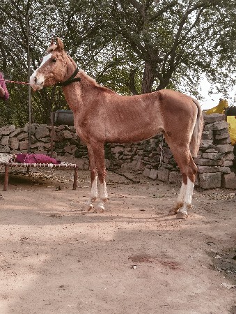 થંબનેલ 3