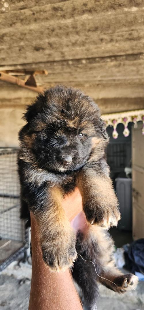 थंबनेल 2