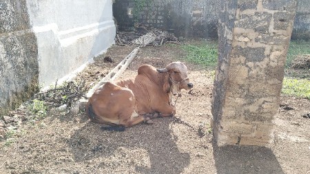 थंबनेल 3