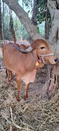 थंबनेल 3